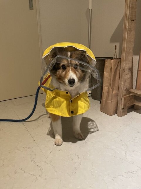 ライムちゃん正面