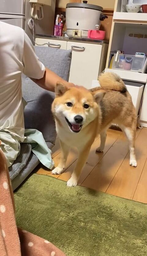 笑顔のむぎちゃん