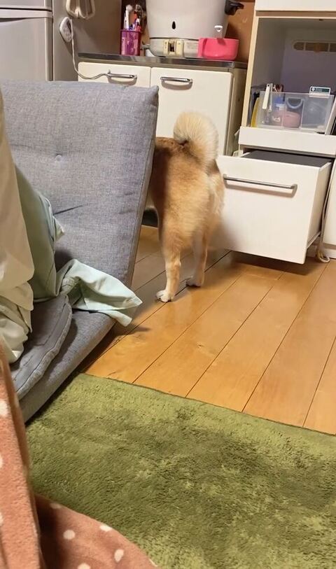 お尻だけ見える