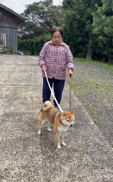 立ち止まっておばああちゃんを待つ