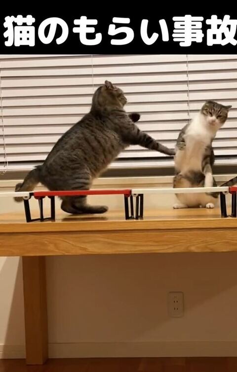 怯むももたくん