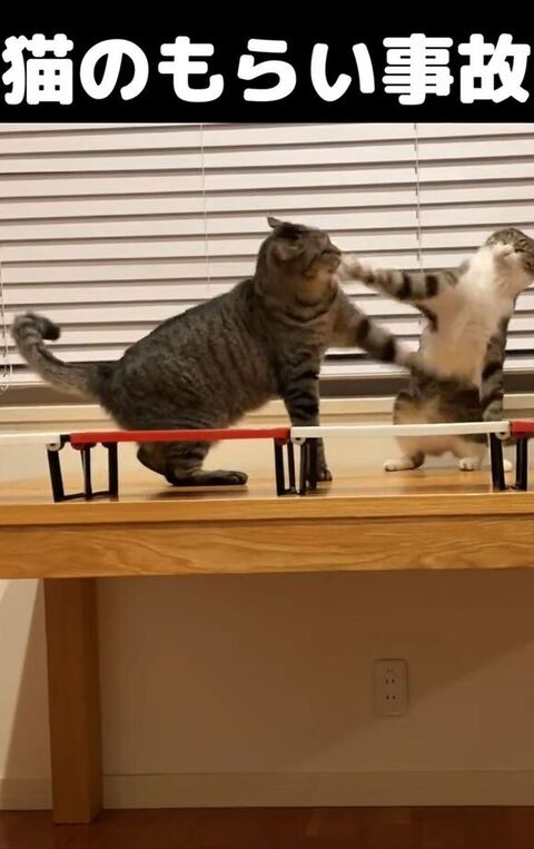 やる返すももたくん