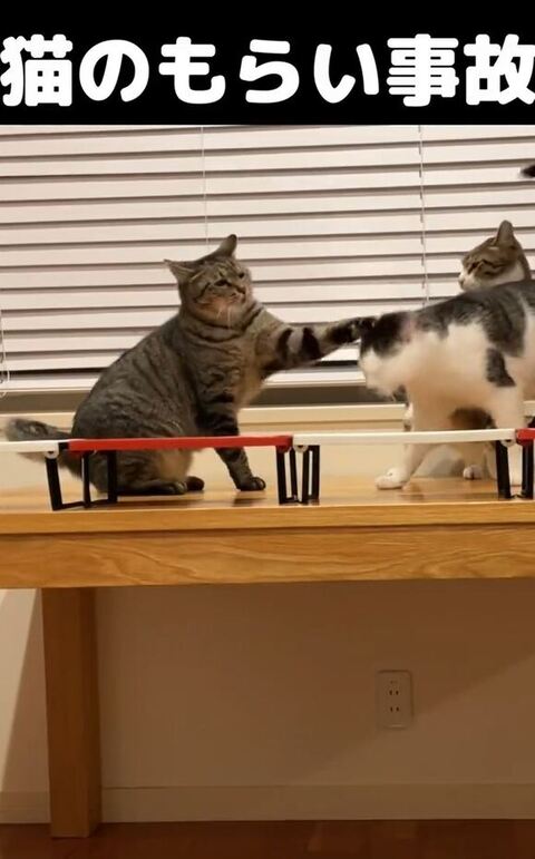 たたかれるまるくん