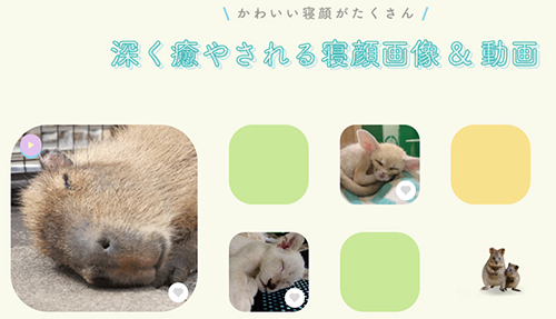 サイトスクリーンショット