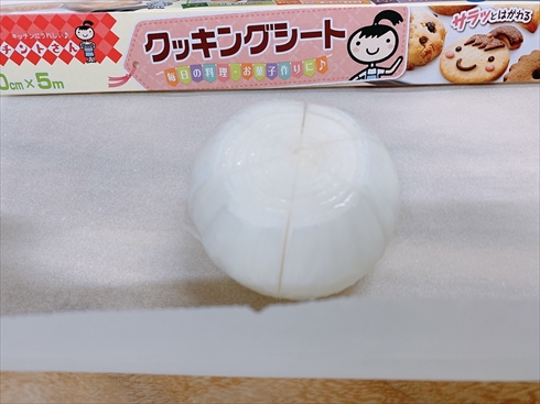 新玉ねぎ ねとめし 簡単レシピ