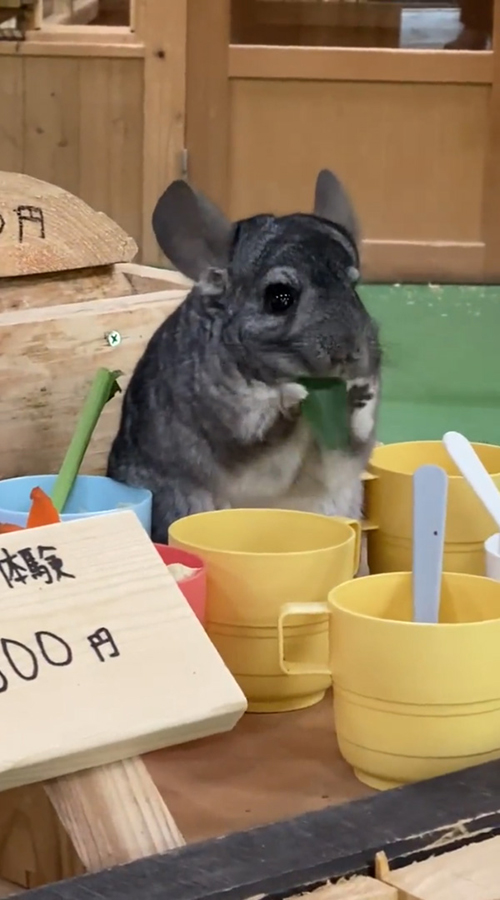 看板が見切れたところ