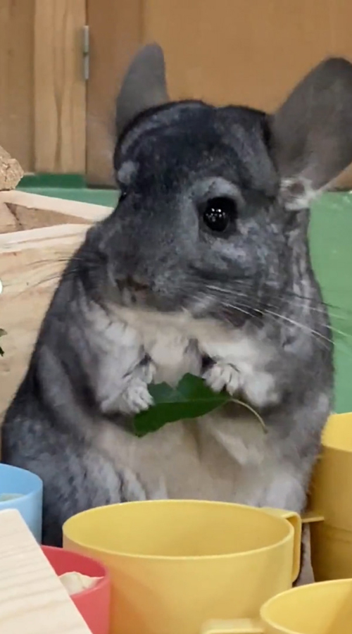 ハッとするいずみさん