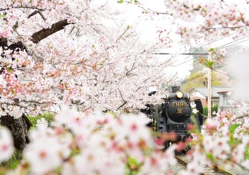 第19回秩父鉄道写真コンテスト