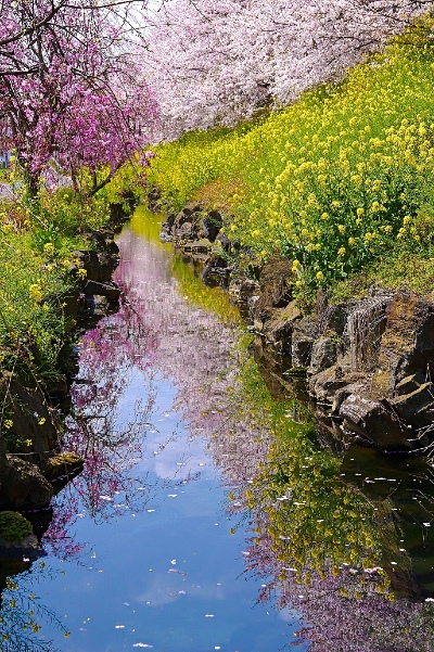 第19回秩父鉄道写真コンテスト