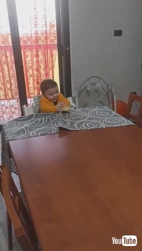 「Toddler Pulls Table Cloth to Get Loaf of Bread || ViralHog」