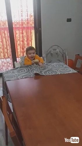「Toddler Pulls Table Cloth to Get Loaf of Bread || ViralHog」