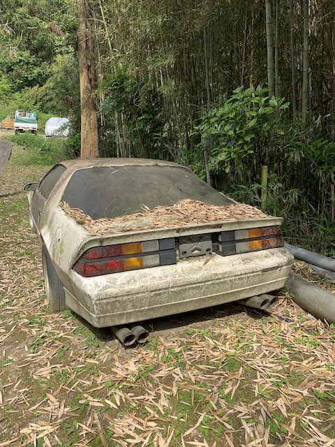 シボレー カマロ 3代目 放置 神隠し