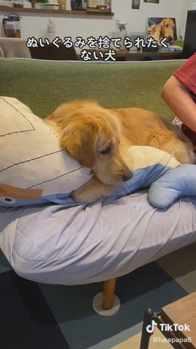 取られたくないルークくん