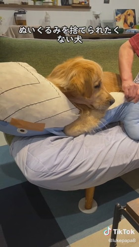 取られたくないルークくん