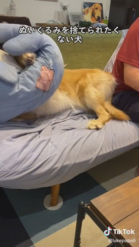 取られたくないルークくん