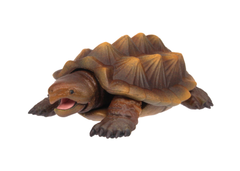 危険生物大百科　最強VS決定戦