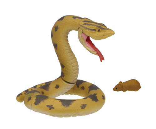 危険生物大百科　最強VS決定戦