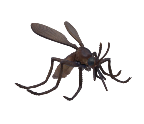 危険生物大百科　最強VS決定戦