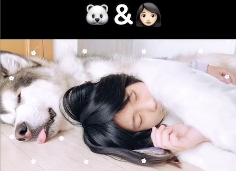 子どもに腕枕として使われる犬