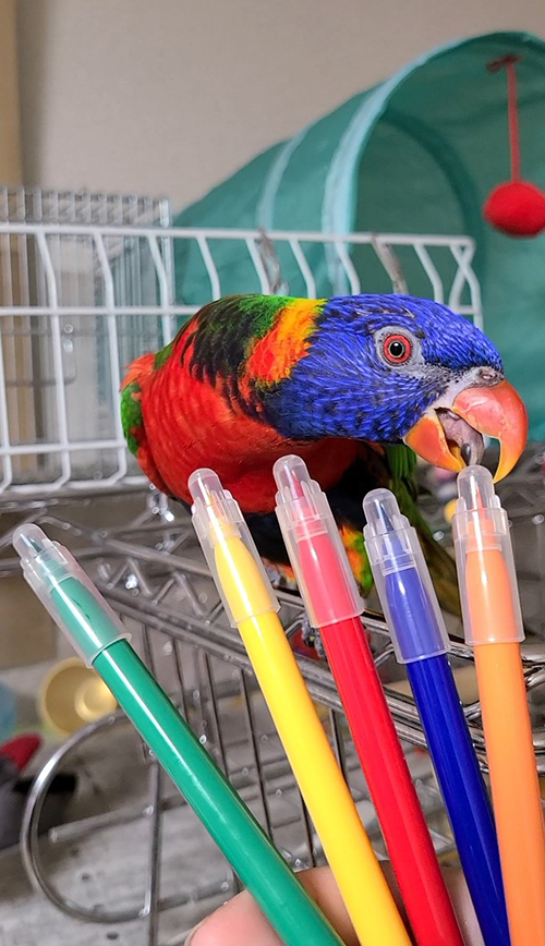 マーカーとキキくんがぶり