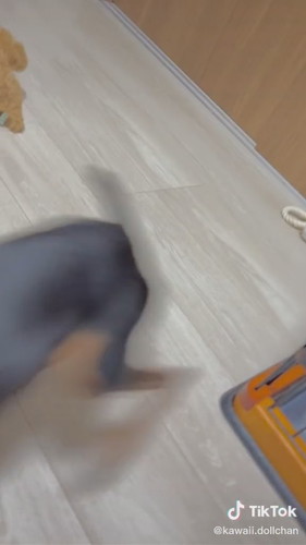 猛スピードで逃げるワンコ