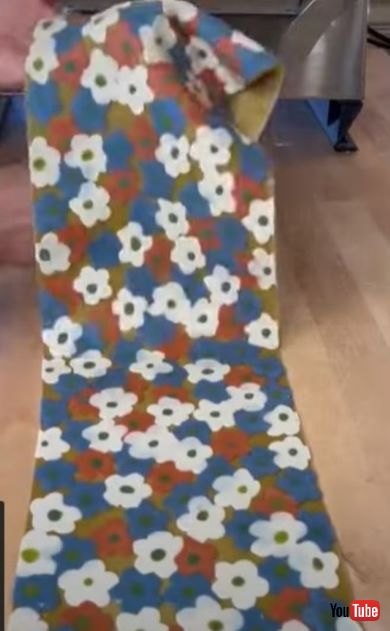 お花畑のパスタが芸術的