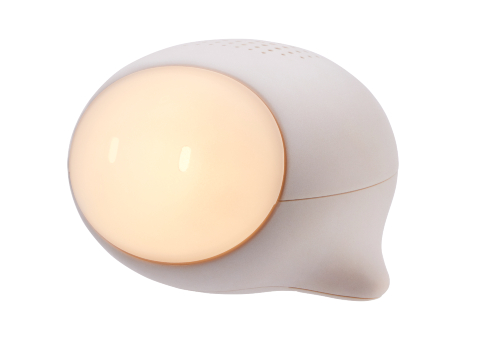 コエステーション