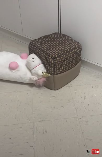 入口で詰まるユニコーンのぬいぐるみとワンコ