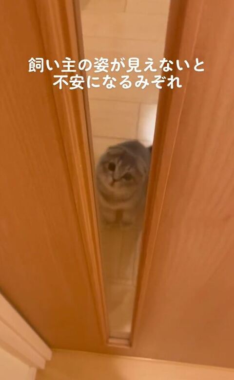 のぞいてる姿ぼやけてる