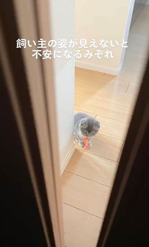 おもちゃもってる