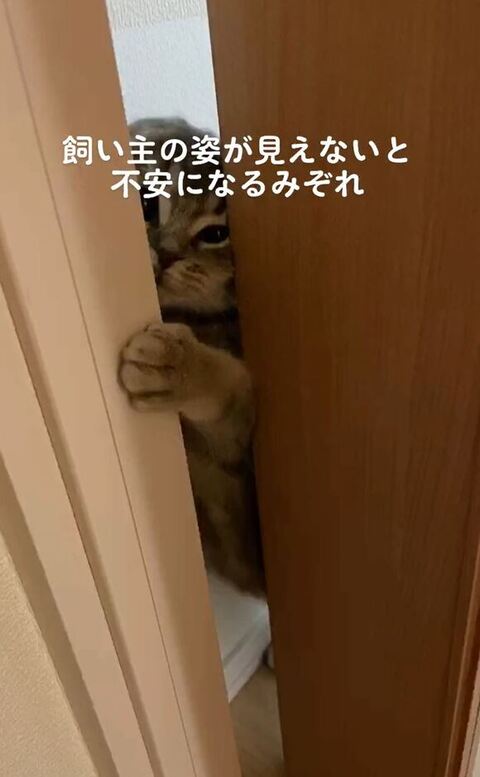 隙間から入ろうとする