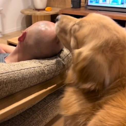 元通りになるお父さんとワンコ