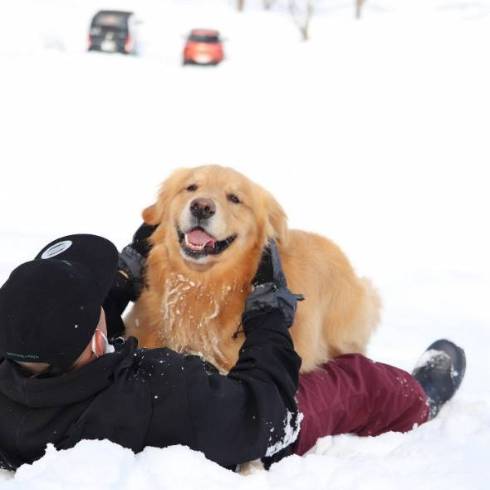 寝場所が悪い お父さん 犬 モッシュくん