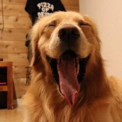 モッシュくんの笑顔