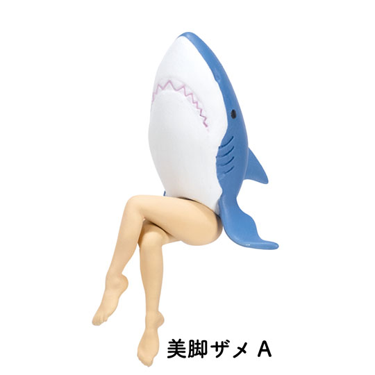 美脚ザメ