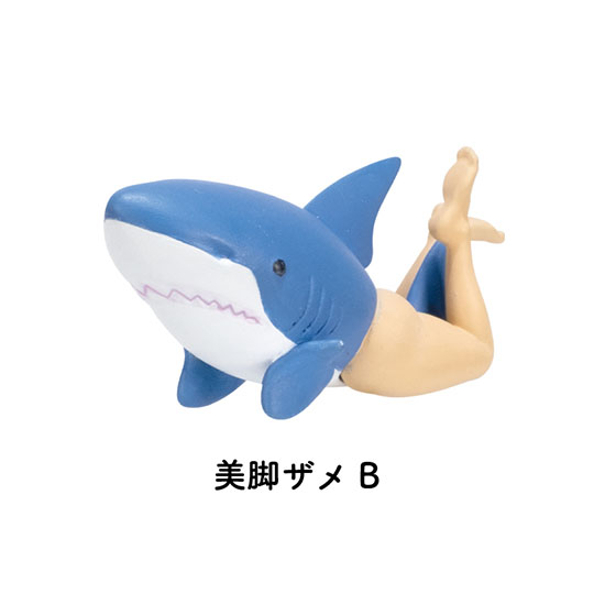 美脚ザメ