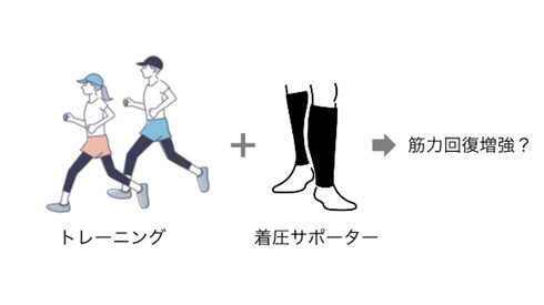東北大学の研究