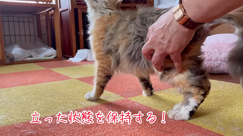 立つ視線を保持する