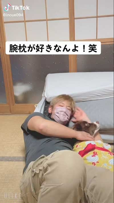 飼い主 腕枕 犬 寝返り 移動 阻止 ボーダーコリー