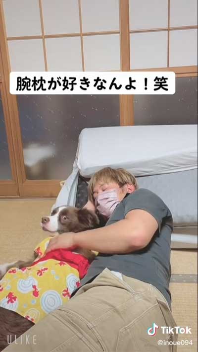 飼い主 腕枕 犬 寝返り 移動 阻止 ボーダーコリー