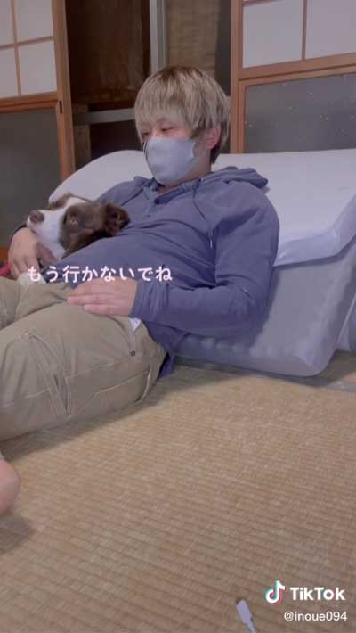 飼い主 腕枕 犬 寝返り 移動 阻止 ボーダーコリー