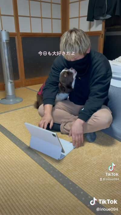 飼い主 腕枕 犬 寝返り 移動 阻止 ボーダーコリー