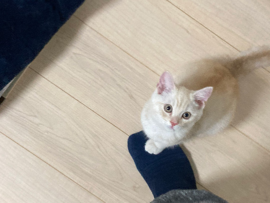 甘えたいころすけさん