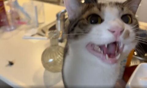 右側見てお返事