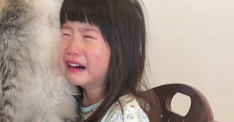 イヤイヤ期の娘に寄り添う元保護猫……　止まらない涙を拭き、スリスリする姿が「もう1人のママ」と161万回再生