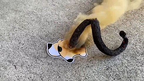 「ねこのうんち」
