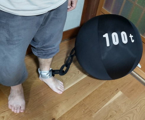 最高のバランスボールカバー