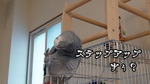 ステップアップ