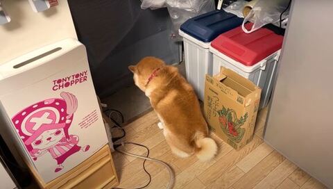 落ち込んでる後ろ姿遠くから