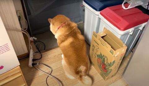 落ち込んでる後ろ姿近く